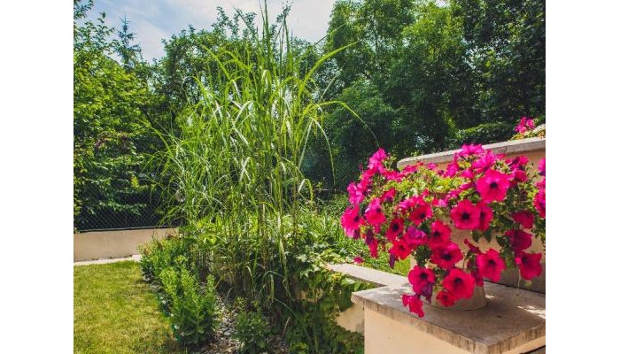 4seasons Apartments Cracow poza 7