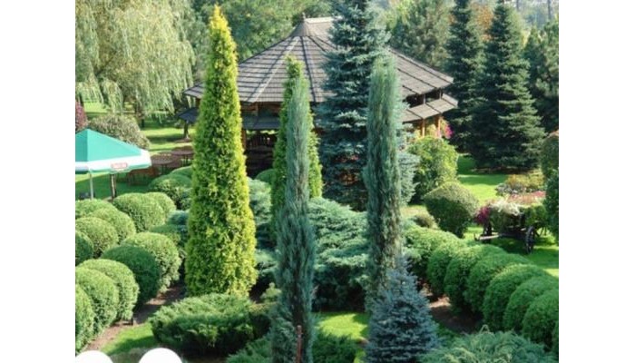 Hotel Crown Piast poza 7