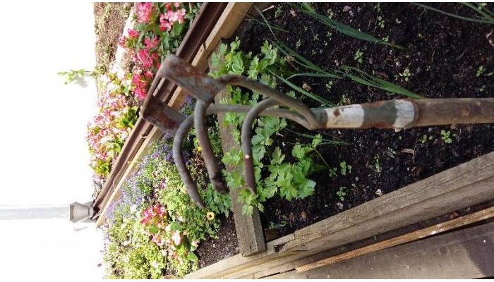 Hotel Chopin Boutique B&b poza 2